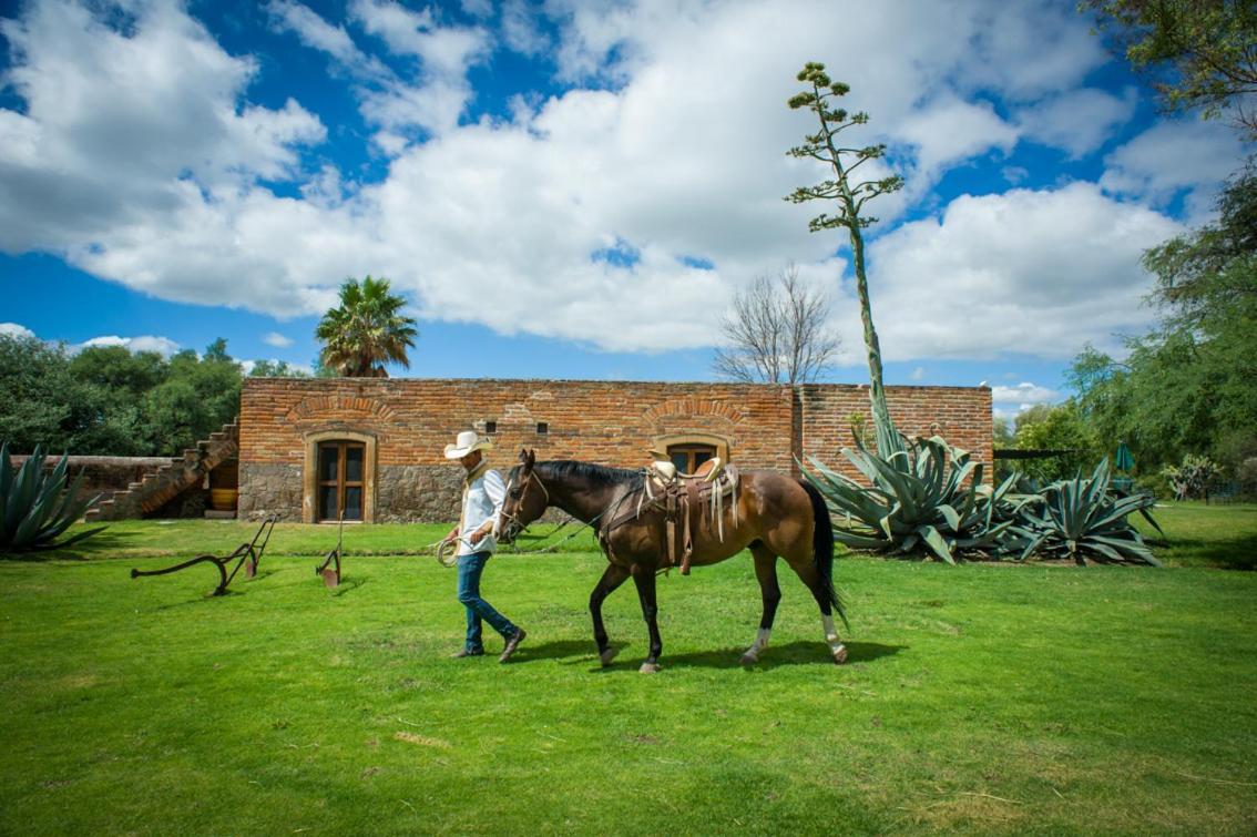 Hacienda Sepulveda Hotel & Spa (Adults Only) Lagos de Moreno Eksteriør billede