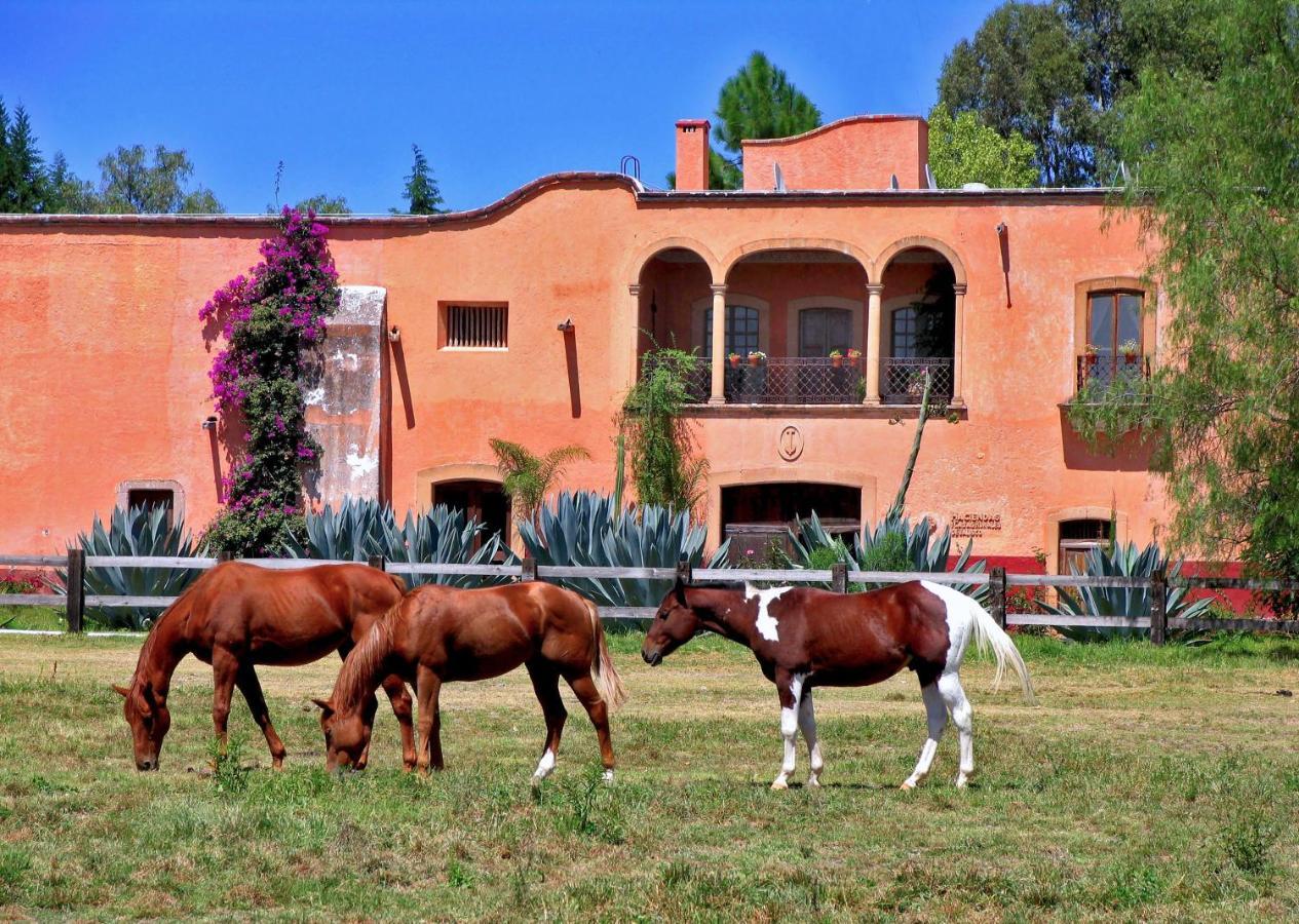 Hacienda Sepulveda Hotel & Spa (Adults Only) Lagos de Moreno Eksteriør billede